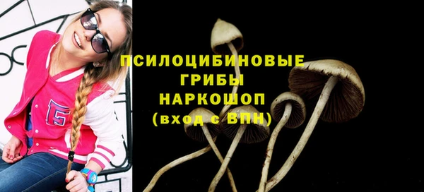 ALPHA-PVP Алексин