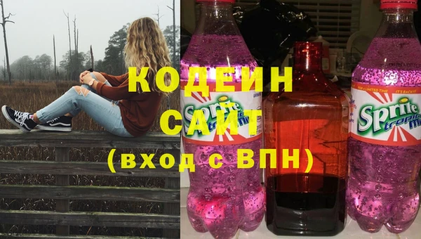 прущие грибы Алзамай