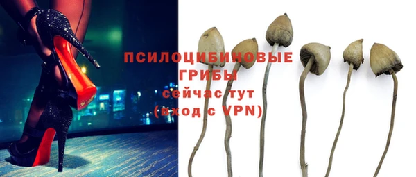 ALPHA-PVP Алексин