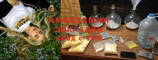 прущие грибы Алзамай