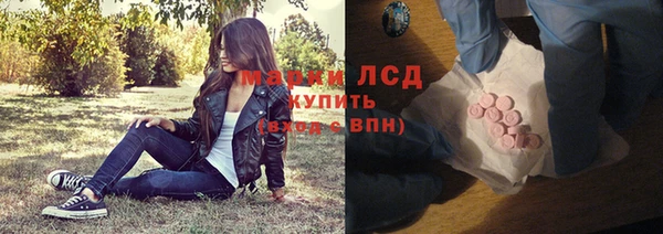 прущие грибы Алзамай