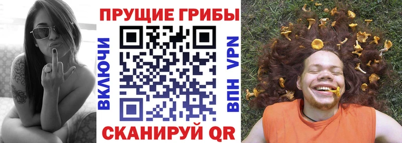 как найти закладки  Николаевск-на-Амуре  Галлюциногенные грибы Magic Shrooms 